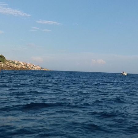 Apartment Vuk I Novak Ούλτσιν Εξωτερικό φωτογραφία