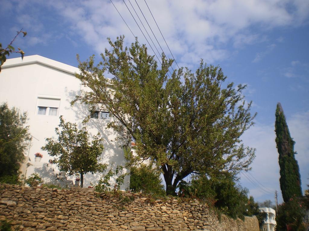 Apartment Vuk I Novak Ούλτσιν Εξωτερικό φωτογραφία