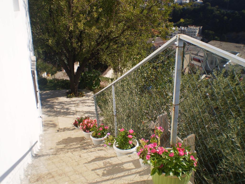 Apartment Vuk I Novak Ούλτσιν Εξωτερικό φωτογραφία
