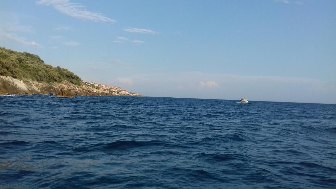 Apartment Vuk I Novak Ούλτσιν Εξωτερικό φωτογραφία