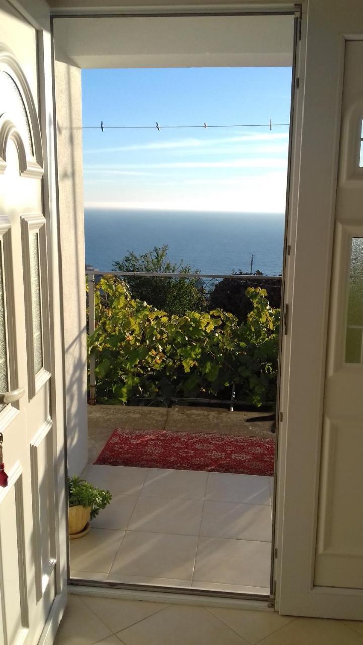 Apartment Vuk I Novak Ούλτσιν Εξωτερικό φωτογραφία